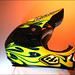 Troy Lee Photo 19