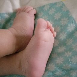Luz Trejo Photo 32