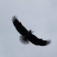 Robb Ellis Photo 18