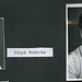Lloyd Guthrie Photo 8