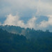 Misty Johnson Photo 39
