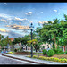 Virginia Small Photo 7
