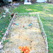 Jon Abbott Photo 41