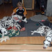 Rex Lucas Photo 9