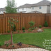 Nancy Spires Photo 9
