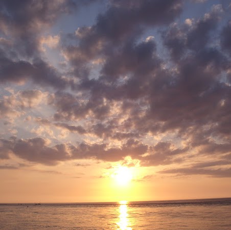 Patricia Curtiss Photo 12
