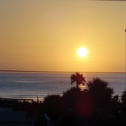 Vickie Robison Photo 3