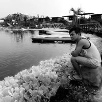Darrell Torres Photo 13