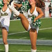 Jim Leavitt Photo 13