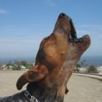 Nancy Curley Photo 22