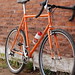 Kelly Cross Photo 23
