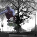 Jeff Hopkins Photo 9