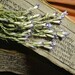 Chang Tang Photo 13