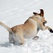 Kristine Snow Photo 18