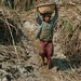 Thomas Strom Photo 14