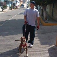 Gerardo Bribiesca Photo 6