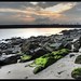 Rajesh Rao Photo 9