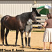 Mary Canter Photo 24
