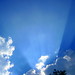 Joyce Davidson Photo 22