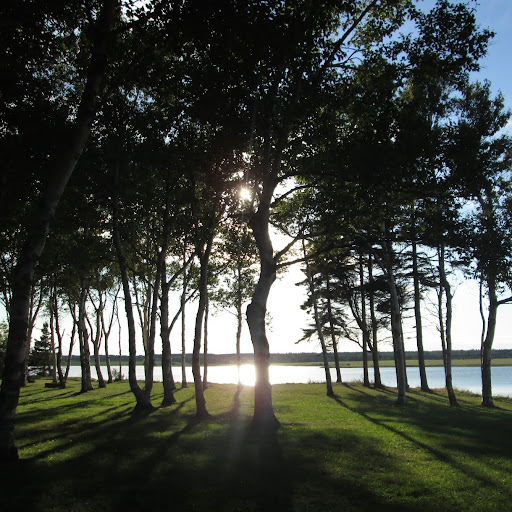 Sharon Inman Photo 19