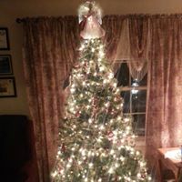 Dorothy Purvis Photo 6