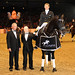 Stephen Clarke Photo 13