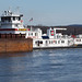 Tom Talbert Photo 27
