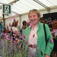 Mary Mansell Photo 11