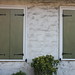 Ann Sole Photo 10