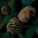 Priscilla Clark Photo 15