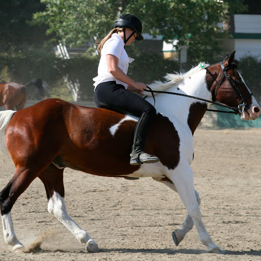 Katie Robison Photo 8