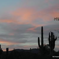 Linda Powers Photo 53