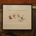Paul Shore Photo 14