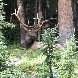 Jennifer Stark Photo 34