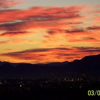 Harold Chapman Photo 31