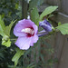 Sharon Donaldson Photo 13