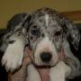Jennifer Loomis Photo 40