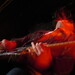 Scott Lucas Photo 20