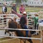 Stephen Merrill Photo 38