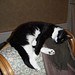 Patricia Poole Photo 34