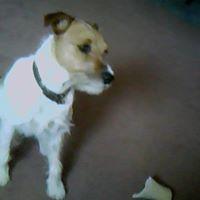 Barney Robinson Photo 11