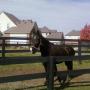 Paula Garrison Photo 29