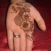 Jamie Mcalpin Photo 13