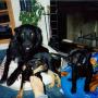 Sharon Duvall Photo 29