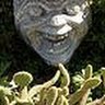 Nancy Barron Photo 33