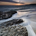 Ray Davenport Photo 26