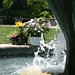 Nancy Gebhart Photo 15