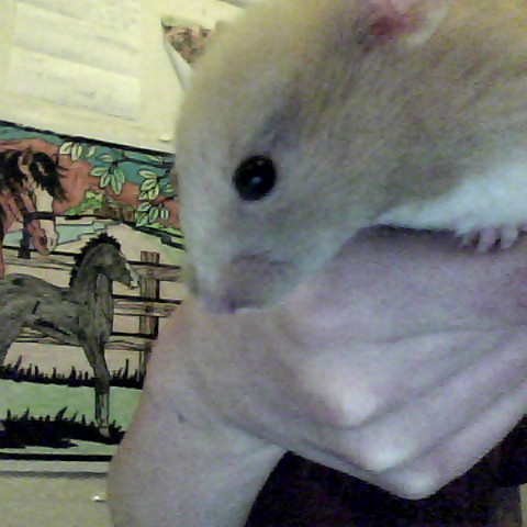 Tommy Sanders Photo 16