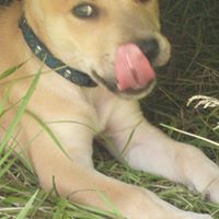 Lauren David Photo 26