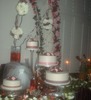 Michelle Cohen Photo 29